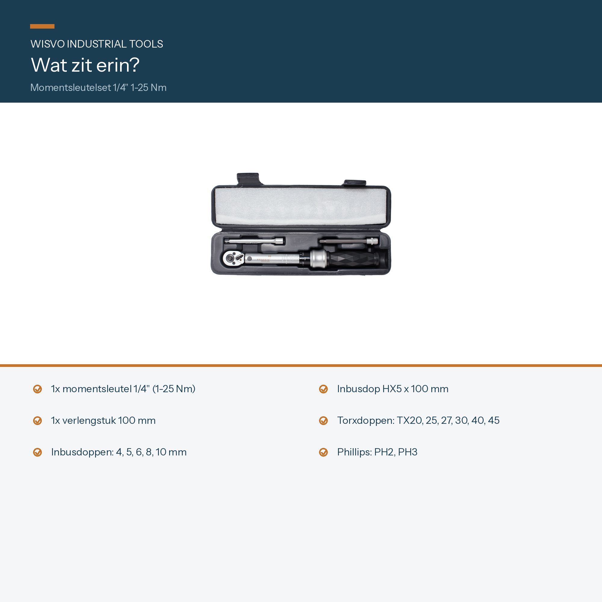 WISVO Momentsleutelset 1/4" 1-25Nm S17